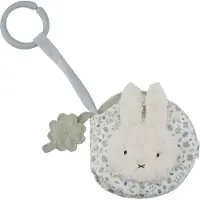 Little Dutch Lucky leaves Miffy stroller rataskirja