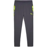 Puma Urheiluhousut 'IndividualCUP' harmaa / limetti