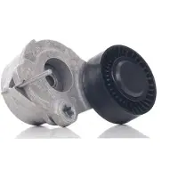 INA Tensioner Pulley, v-ribbed belt