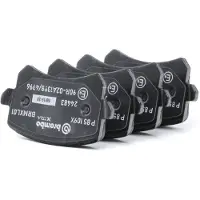 Brembo Jarrupalasarja Xtra P 85 109X, takana
