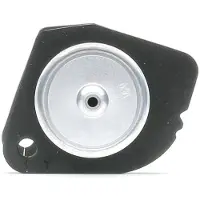 FILTRON Fuel filter