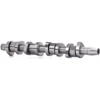 Schaeffler INA Nokka-akseli INA 428 0110 10