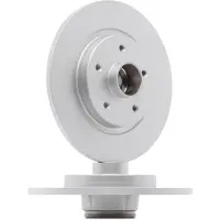 Delphi Jarrulevy (1kpl) BG9113RSC