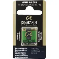 Taidepiste Rembrandt akvarelli 662 Permanent Green - 1/2 nappi