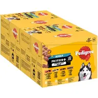 Pedigree 48x85g Adult Fresh Pouches Protein Plus hyytelössä 4 makua