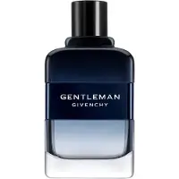 Givenchy Gentleman Intense, EdT 100ml