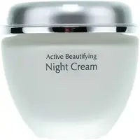 Anna lotan New Age Control Active Beautifying Night Cream 50ml