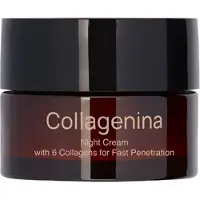 Collagenina Night Cream With 6 Collagens Grade 2 50ml