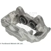 Blue Print Jarrusatula ADBP450226