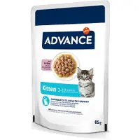 Affinity Advance 24x85g Advance Kitten kalkkuna kissan märkäruoat