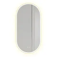 REA OVL LED SEINÄPEILI 50x100cm kultaa