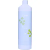 Echos Line Balance Shampoo puhdistava shampoo hilsettä vastaan 1000 ml