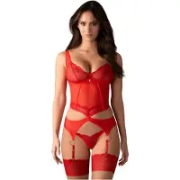 Obsessive Cupide Desir - läpinäkyvä pitsinen toppisetti - punainen - L/XL