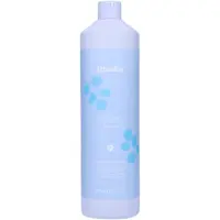 Echos Line Volume Shampoo volyymia antava shampoo hennoille hiuksille 1000 ml