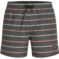 O'Neill Cali First 15'' Surffishortsit grey o / neill stripe Koko XS