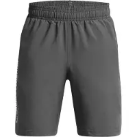 Under Armour Woven Wordmark Shortsit