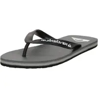 Quiksilver Molokai Core - Grey - 39