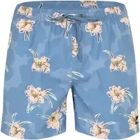Quiksilver Everyday Straight Volley 15 - Blue - S