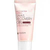 Mizon Snail Repair Recovery Gel Cream 45 ml