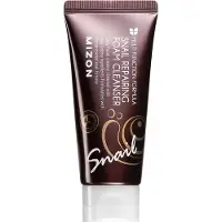 Mizon Snail Repairing Foam Cleanser 60ml