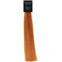 Id Hair Intensifying Colour Bomb 200 ml- Spicy Curry 744