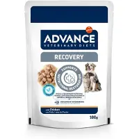 Affinity Advance Veterinary Diets 22x100g Veterinary Diets Recovery Advance kissan ja koiran märkäruoka