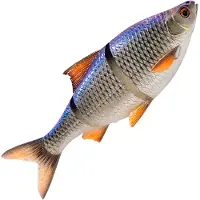 Savage Gear 3d Lt Roach Glidebait 206g 250 Mm