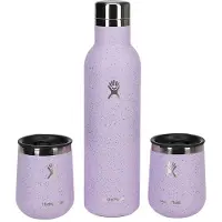 Hydroflask Stainless Steel Wine Bottle Bundle H24