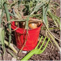 Bigjigs Red Metal Bucket