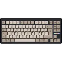 Wooting 80HE ISO + Retro Keycaps
