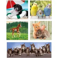 Clementoni Noli Animal Friends 10 In 1 Palapeli