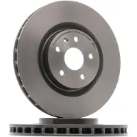 Brembo Jarrulevy (1kpl) 09.8906.31