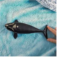Schleich North Atlantic Right Whale valas