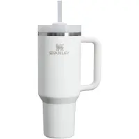 Stanley Quencher H2.O FlowState Tumbler ruostumaton tumbler-pullo ja pilli iso Frost 1 kpl