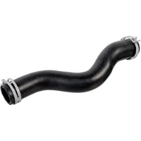 FEBI BILSTEIN Jäähdyttimen letku 178469