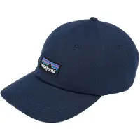 Patagonia P-6 Label Trad Cap