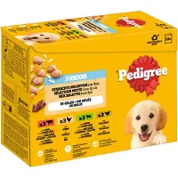 Pedigree 96x100g Junior Fresh Pouches lajitelma hyytelössä (4 makua)