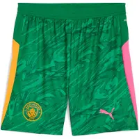 Puma Manchester City 25/26 Goalkeeper Shorts Men, koko Small
