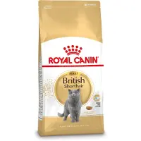 Royal Canin - Brittiläinen lyhytkarvainen aikuinen kuivaruoka 2 kg - Kissat - Kissanruoka - Kuivaruoka