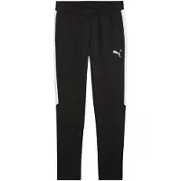 Puma Urheiluhousut 'TeamEVOSTRIPE' musta / valkoinen