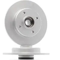 Delphi Jarrulevy (1kpl) BG9410RSC
