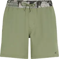 O'Neill Pocket Print 16" Surffishortsit avery fern Koko L