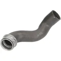 THERMOTEC Jäähdyttimen letku DWM087TT