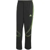 Adidas Originals Housut 'Teamgeist Adicolor' vaaleanvihreä / musta