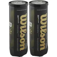 Wilson Premier Speed Padelpallot