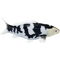 MOJO Sealife Koi Carp - Shiro Utsuri Koi