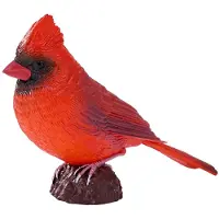 MOJO Farmland Red Cardinal