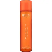 Götz and Brands GmbH Ready Set Fix Setting Spray, 100ml
