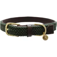 Kentucky Nylon Plaited Koiranpanta