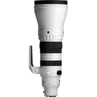 Sigma 300-600mm f/4 DG OS Sports Sony FE